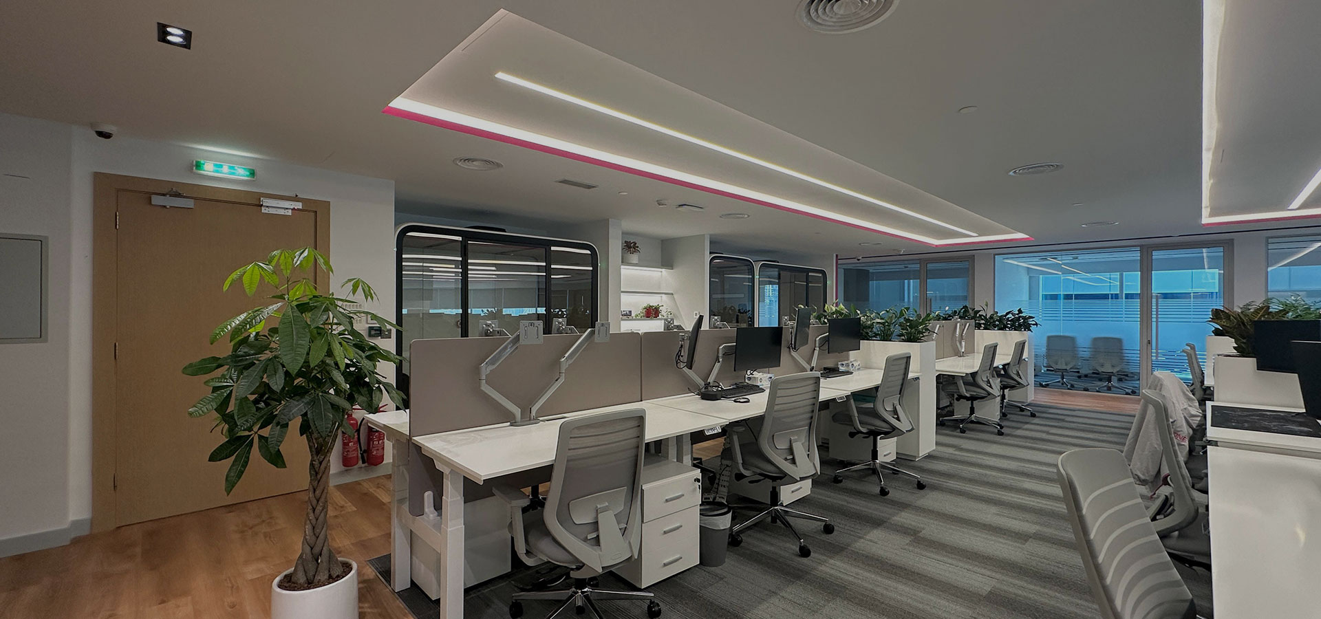 Public and Govt entities